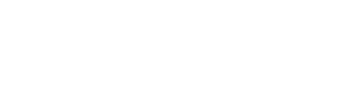 logo welly blanc